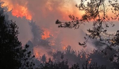 Orman yakan PKK’lı terörist için istenen ceza belli oldu