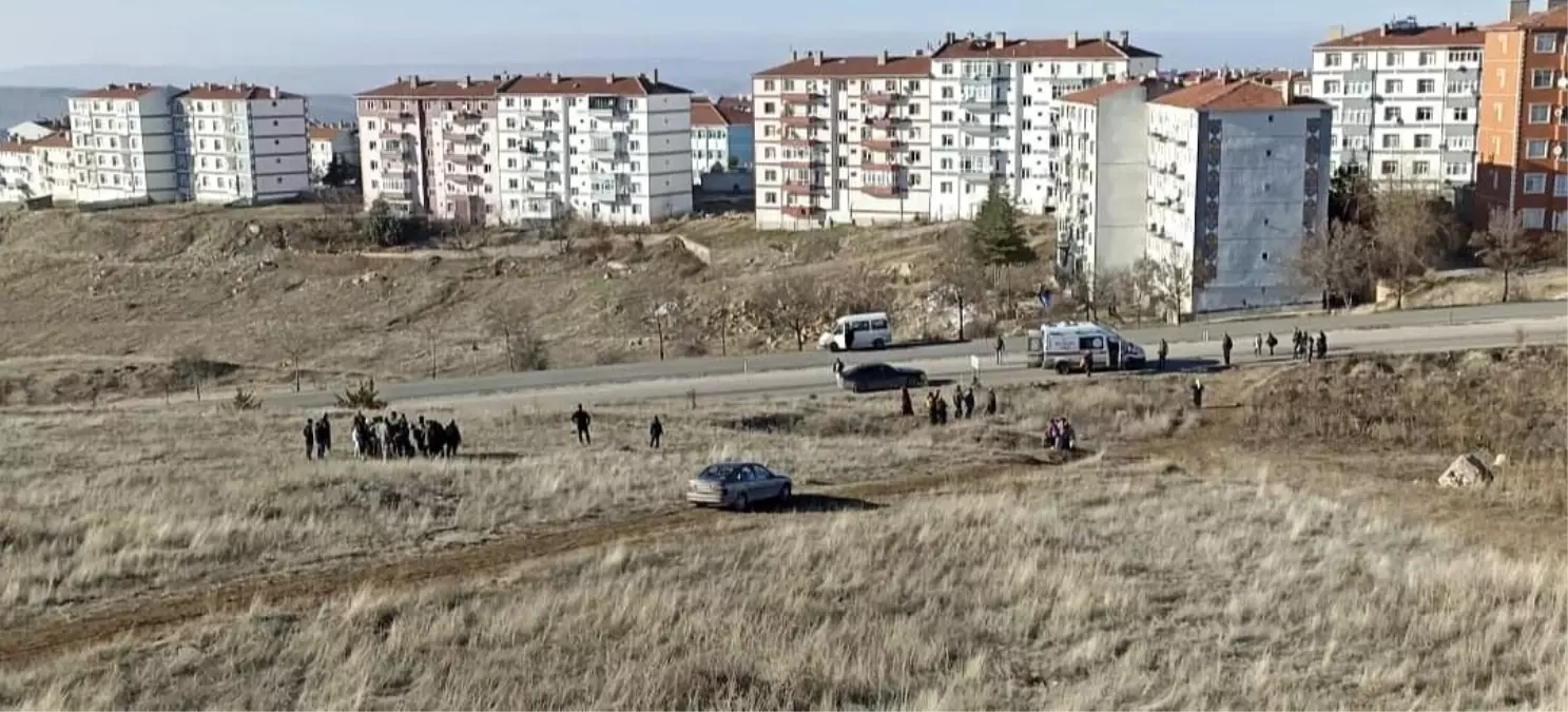 Başıboş Köpek Saldırısı: 13 Yaşındaki Çocuk Yaralandı